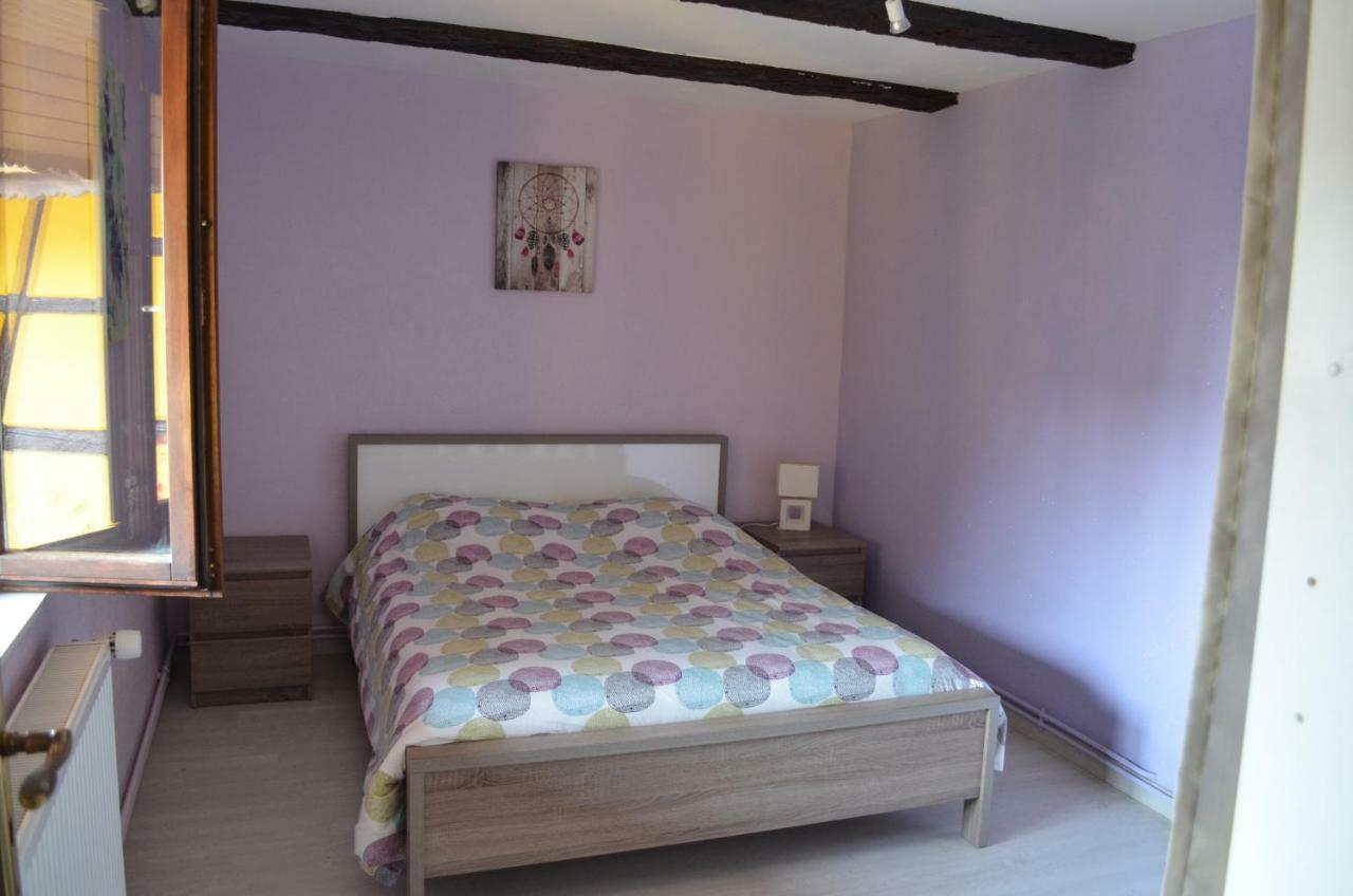 Maison Alsacienne A Andolsheim Apartment Luaran gambar